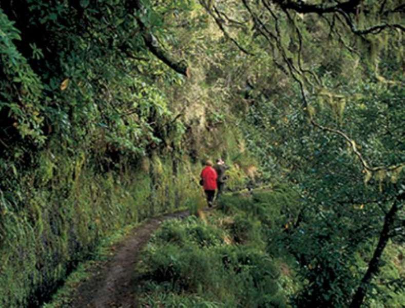 Dorisol Pousada Dos Vinhaticos Serra de Água Екстериор снимка